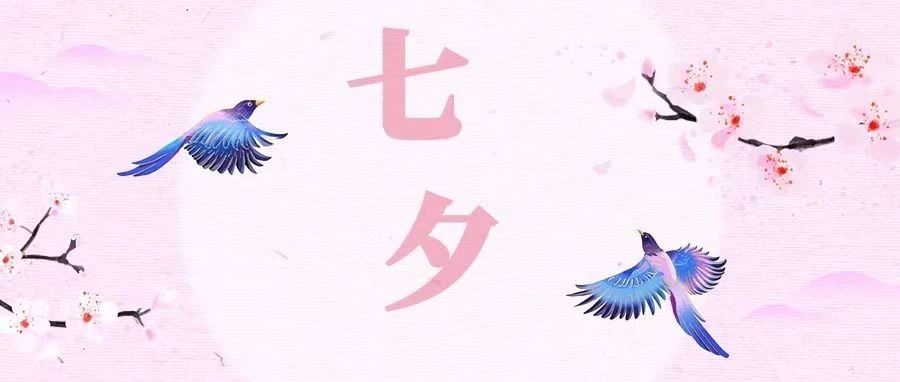 不“七”而遇|我和爱柯迪的故事
