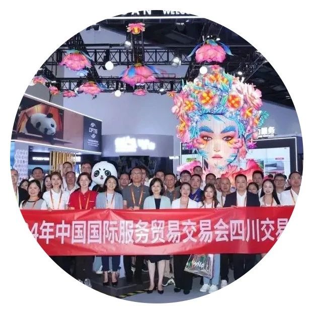 长虹佳华数字科技服务项目亮相中国国际服贸会