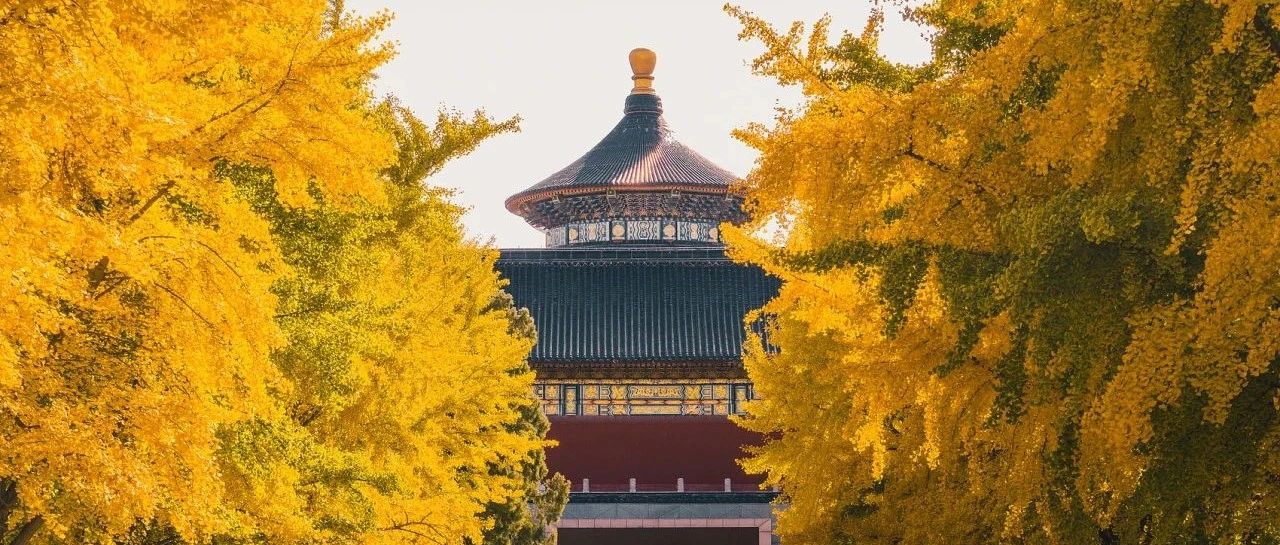 中国最极致的秋天，居然在最“土”的城市里