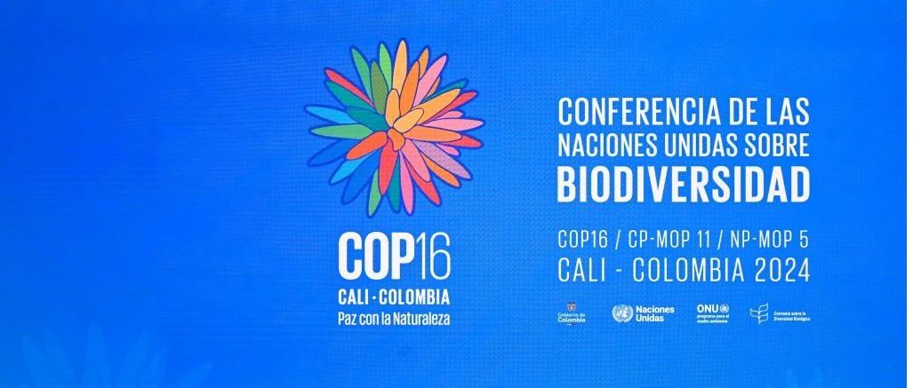 人均一片绿洲!COP16大会蒙牛发布“绿洲计划”公益项目