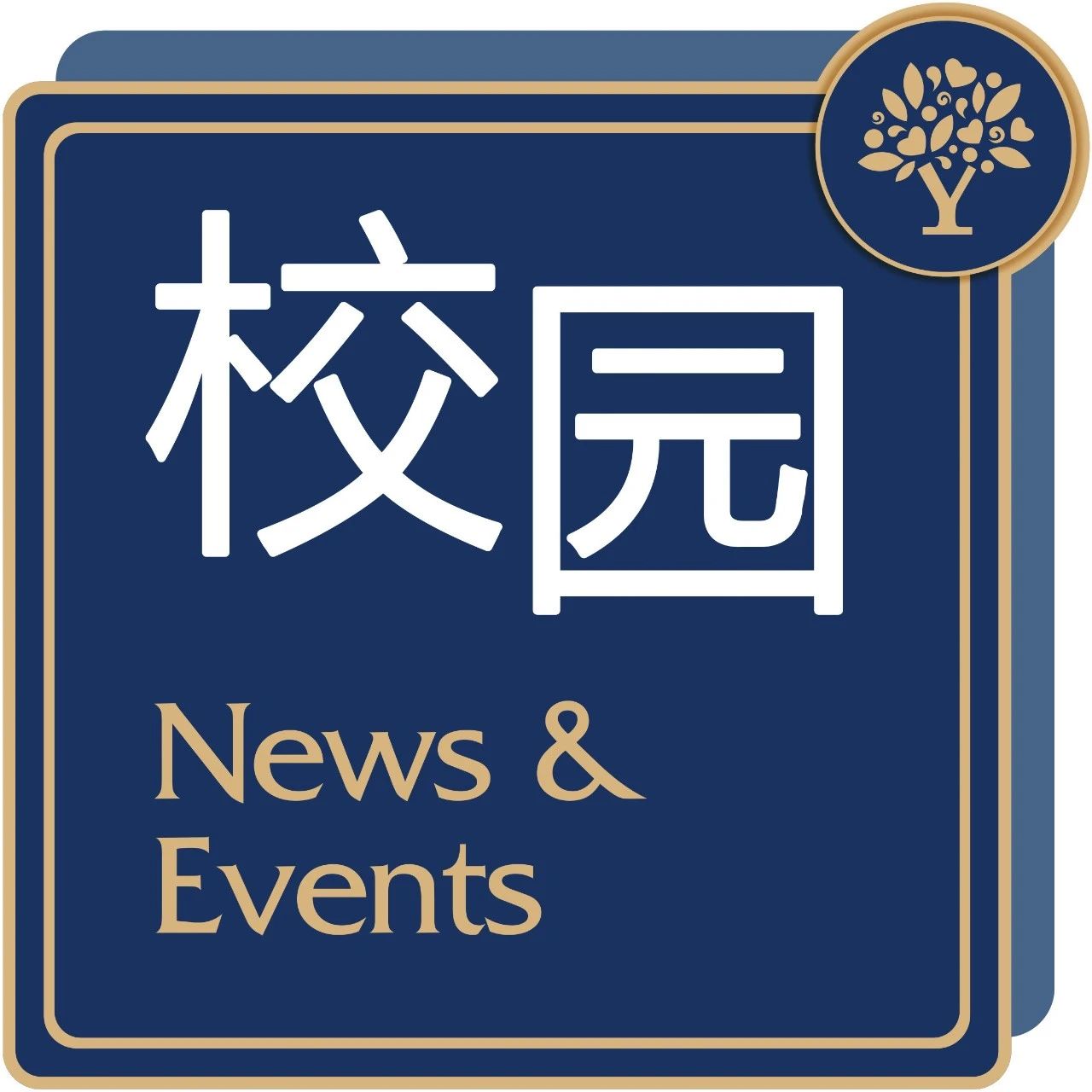 在这里，遇见更好的自己 | 新英才AP国际中心“火箭计划”正式发布