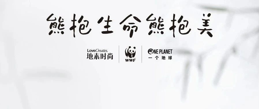 DAZZLE & RAZZLE 熊猫公益胶囊系列目录