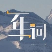 确诊“胡椒罐子”人格，我靠信念感开启一切