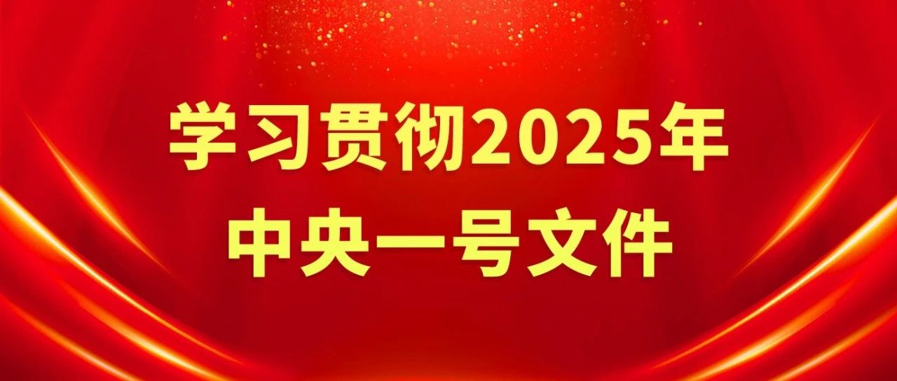 飞未公司集中学习2025年中央一号文件
