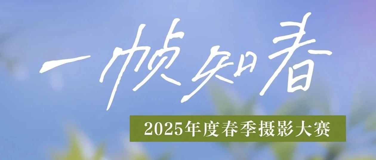 “一帧知春”摄影大赛｜春光入镜，赴一场镜头里的温柔邂逅