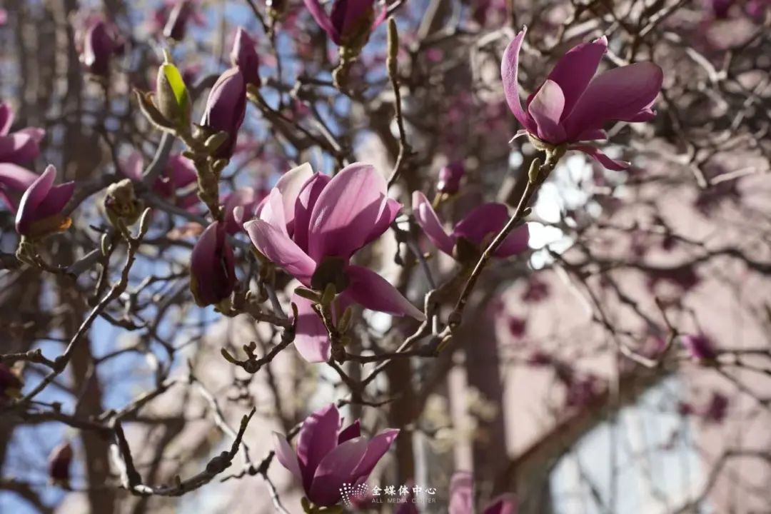 微信图片_20250326190554.jpg