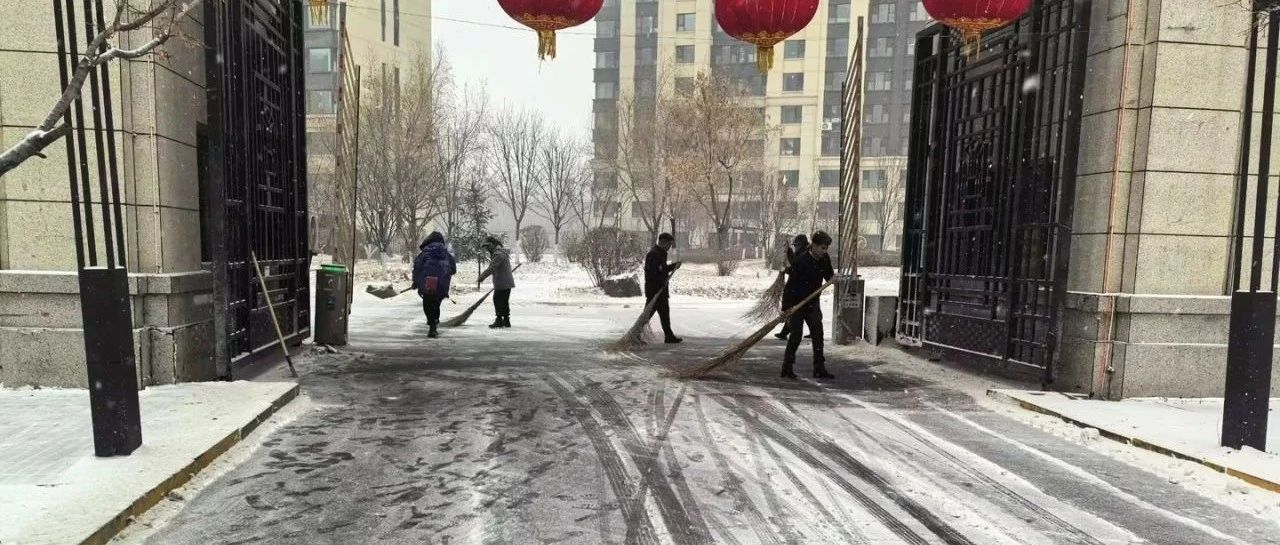 迎寒潮战雨雪｜天力物业哈尔滨公司人以雪为令，雪落即清
