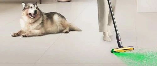 Pet science | 宠物掉毛对它有什么影响？