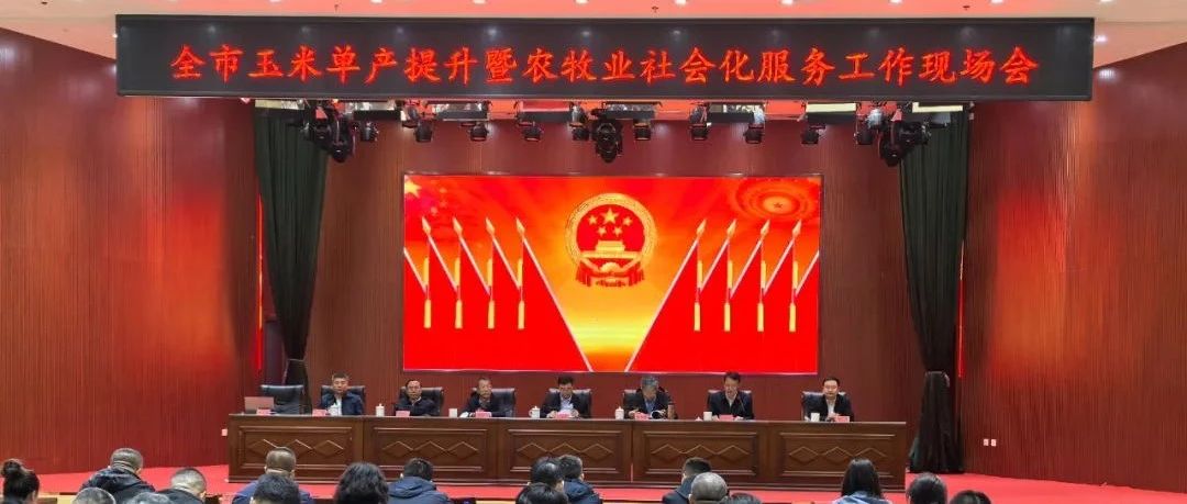 【会议动态】全市玉米单产提升暨农牧业社会化服务工作现场会召开