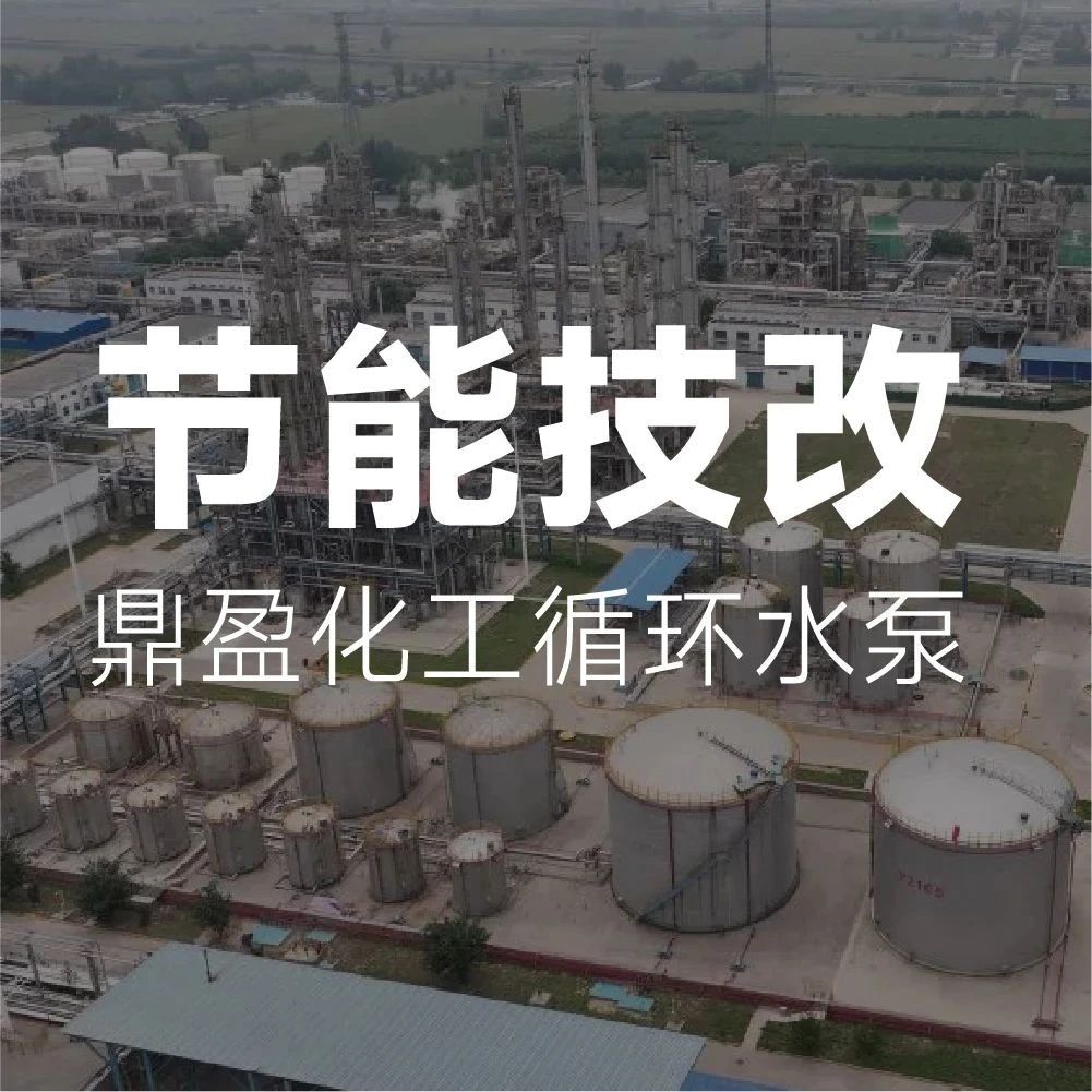 节电率超19%！利欧助鼎盈化工循环水泵提质降耗