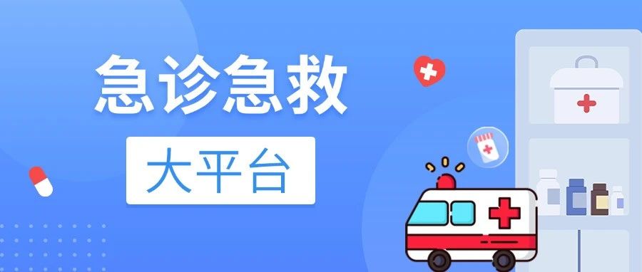 “呼救即抢救、上车即入院”：嘉和美康急诊急救大平台接入DeepSeek