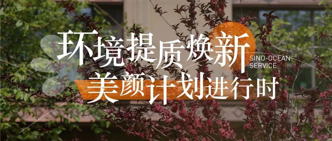环境提质焕新，美颜计划进行时