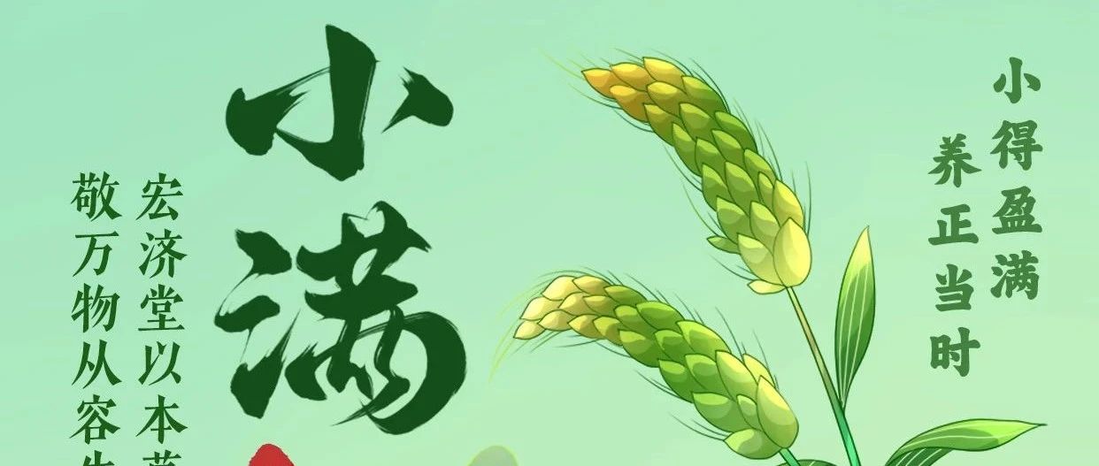 小满 | 小得盈满 养正当时