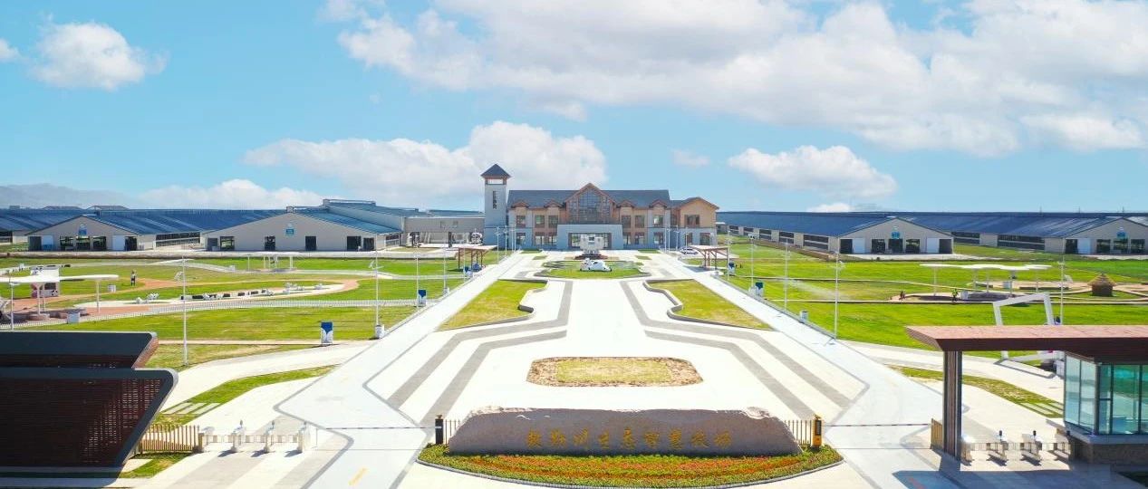 优然牧业标普CSA评分超全球93%参评同业，领跑中国乳业上游