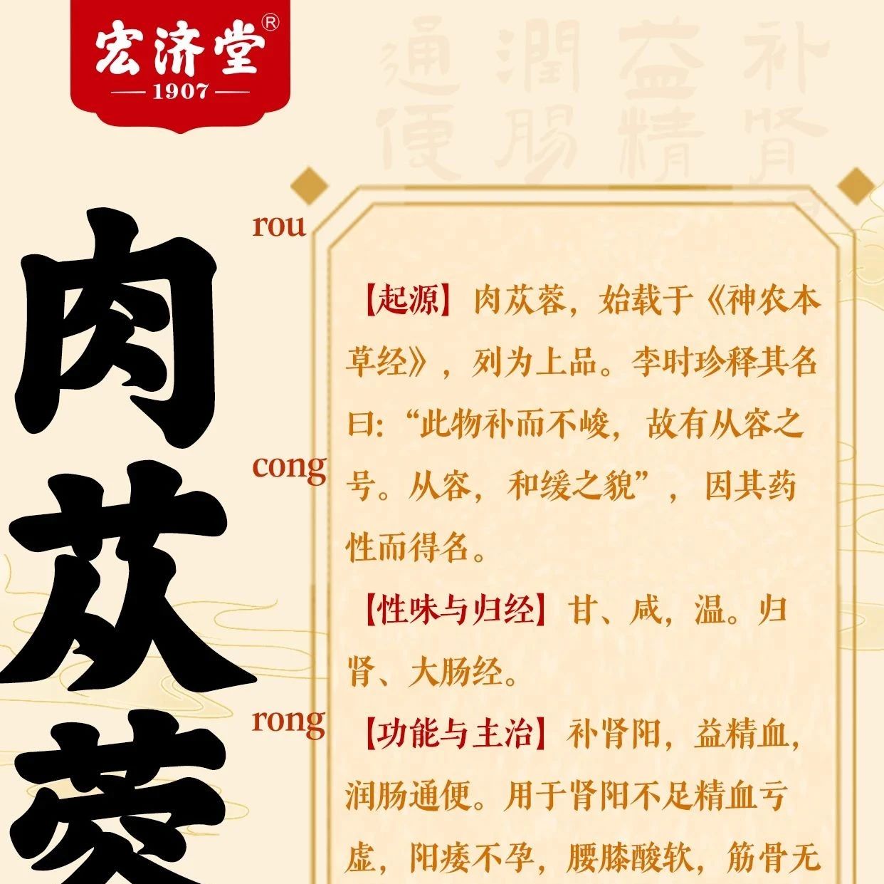每日识一味中药材——肉苁蓉