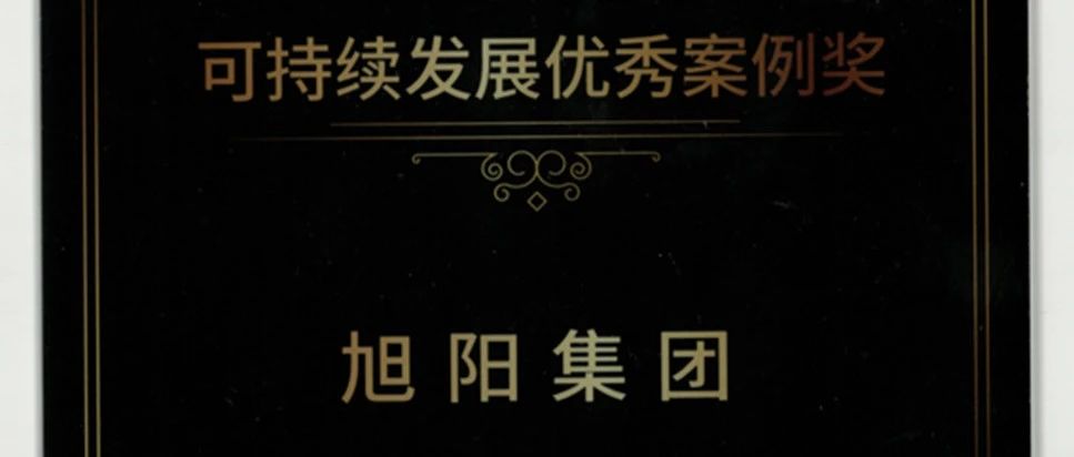 中国旭阳集团（1907.HK）荣膺“可持续发展优秀案例奖”及”最佳出海企业样本”