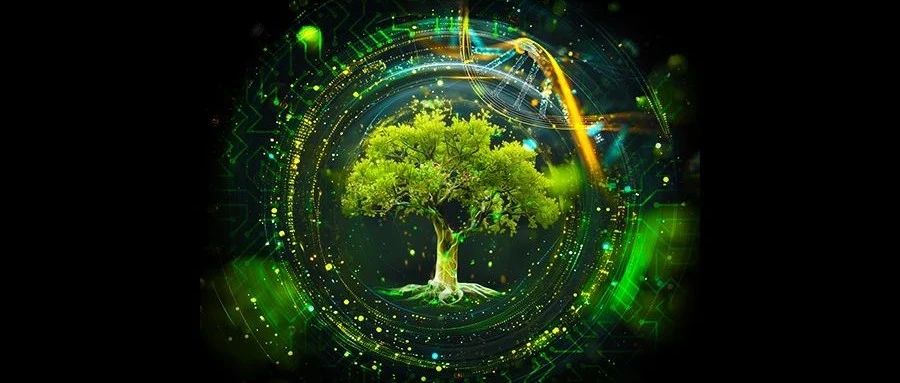 报名邀请｜2025德勤中国高科技高成长50强及明日之星评选项目