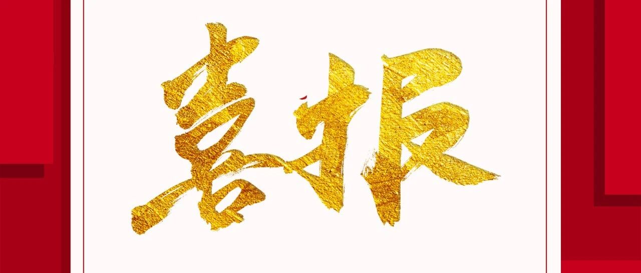 众信荣誉 | 众信员工陈丽丹入选“宁波好人榜”