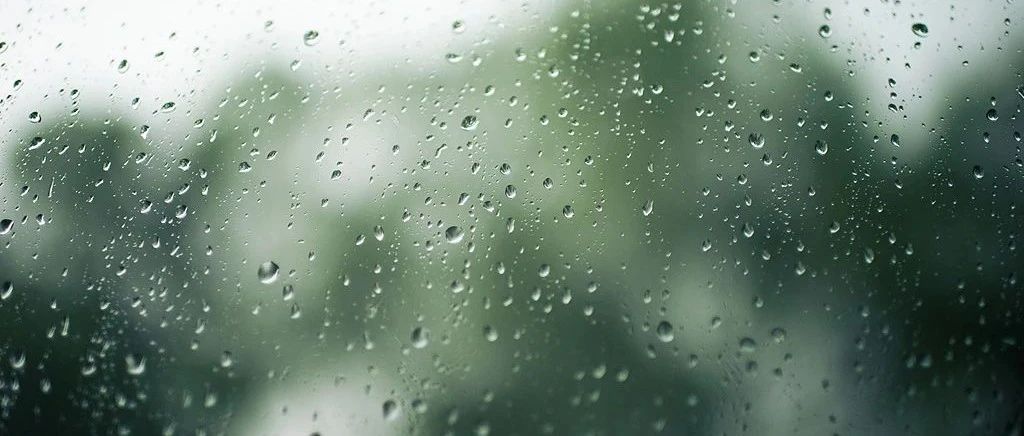 当世界被雨按下0.5 倍速键，知识在窗畔悄悄生长