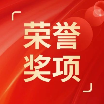 RUI实力丨瑞众保险“瑞美好·责任行”公益项目荣获2025“金诺奖”