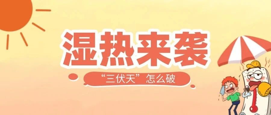 13 | “五衡”科技破三伏：30天湿热挑战下的健康守护方案