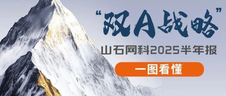 一图看懂｜山石网科2025半年报