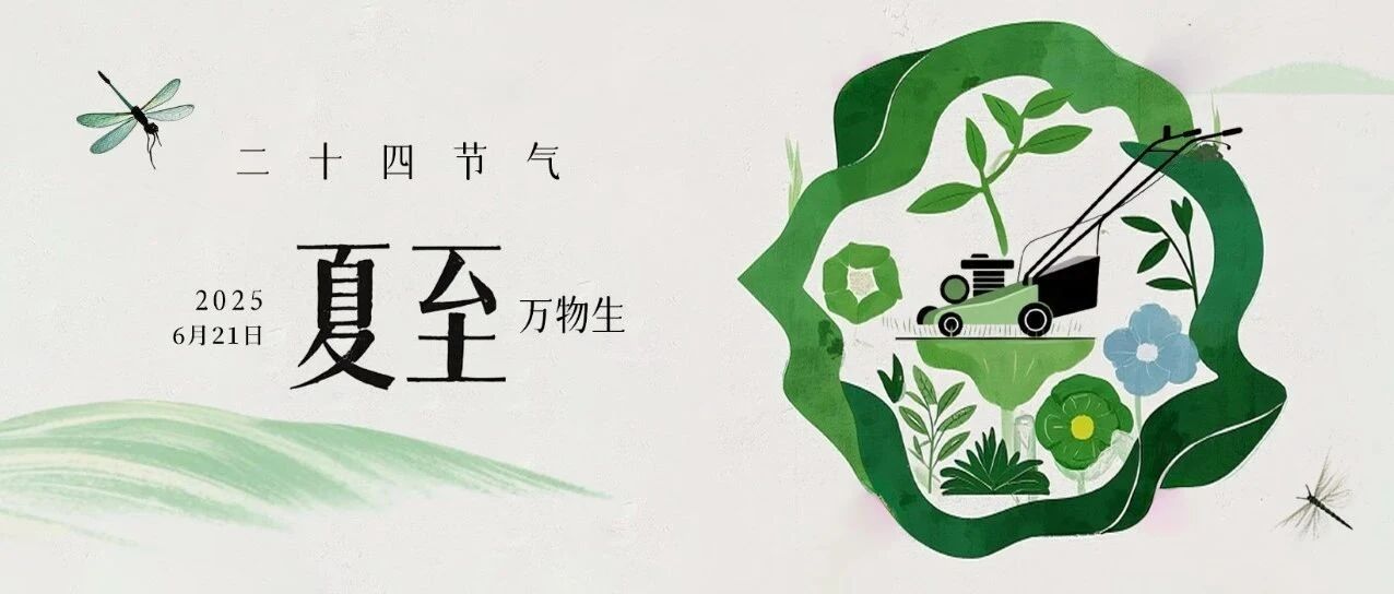 夏至已至，恭祝夏安