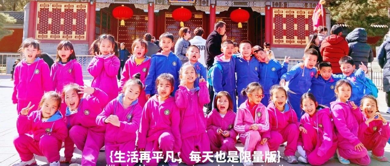 少年眸底，藏着“颐和”的新解——且看小杉树从颐和园的亭桥光影里，读出独一份的意趣~