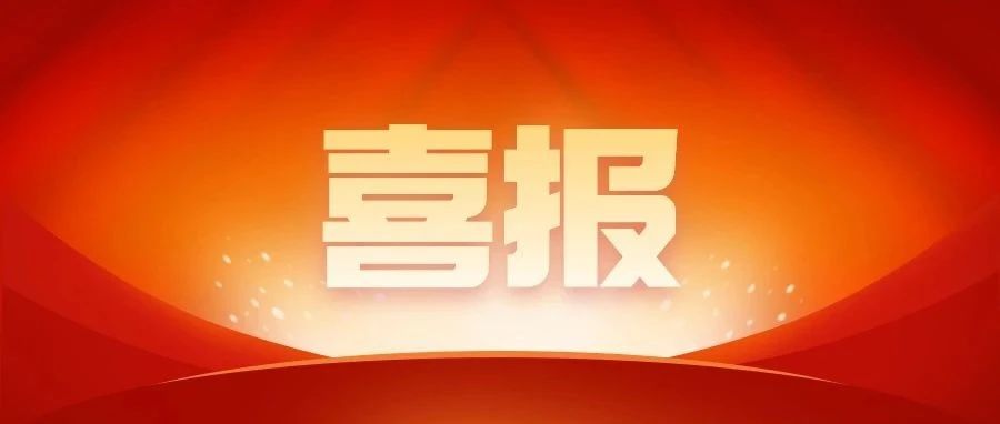 喜报丨海逸恒安在全国招标采购专业技能大赛（山东省赛）决赛中取得佳绩