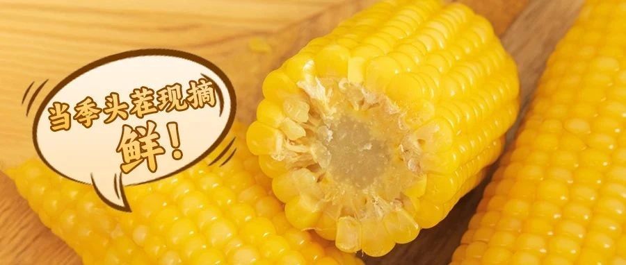 失踪多年的‘玉米味’找到了！一煮香满楼，一咬黏拉丝，头茬鲜更好吃