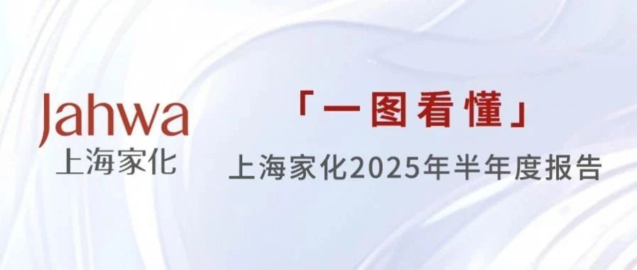 一图看懂 | 上海家化2025年半年度报告