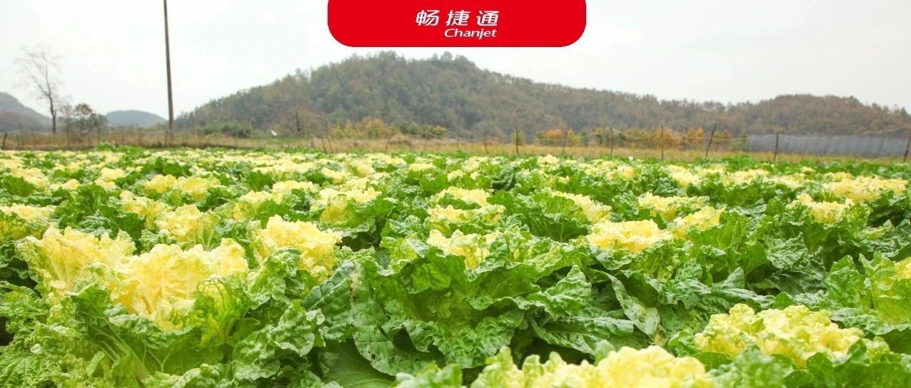 这些“不起眼”的小镇，正在承包全球的“吃喝玩乐”