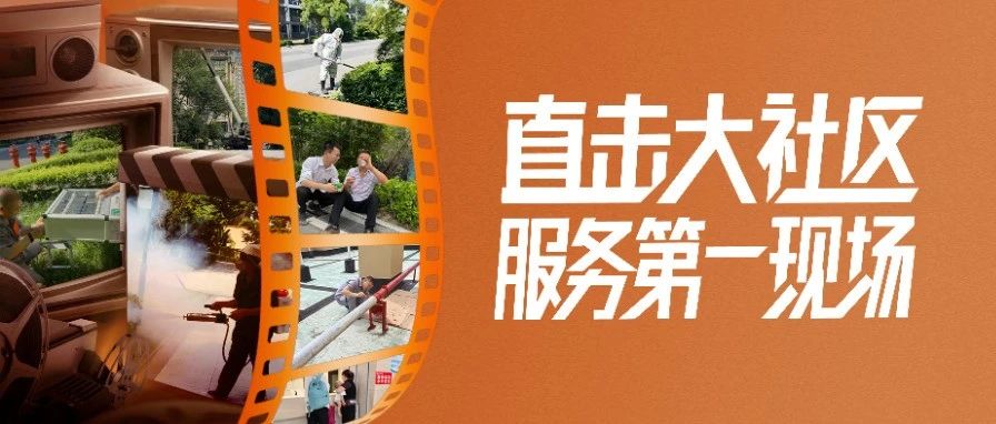 “我们的物业一天都在做些啥？”