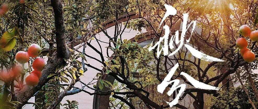 秋分|昼夜均分秋光,暖意常伴家园