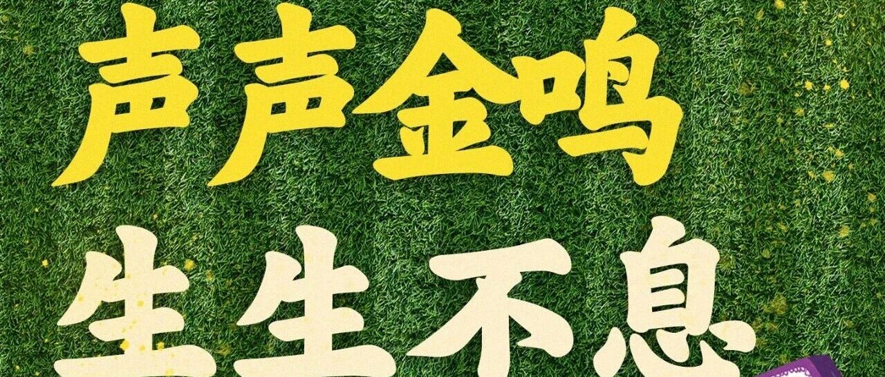 下一次,更响亮!