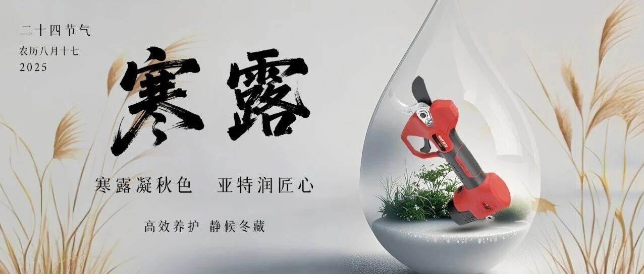 朝晖映深秋,寒露缀黄叶