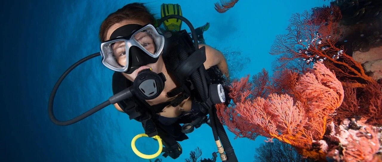 豪威集团推出用于高端智能手机与运动相机的TheiaCel®OV50R图像传感器