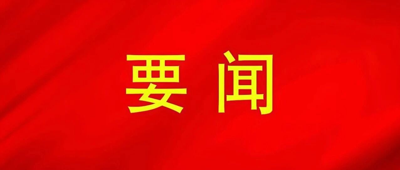 华迪公司召开党总支扩大会议传达学习贯彻党的二十届四中全会精神