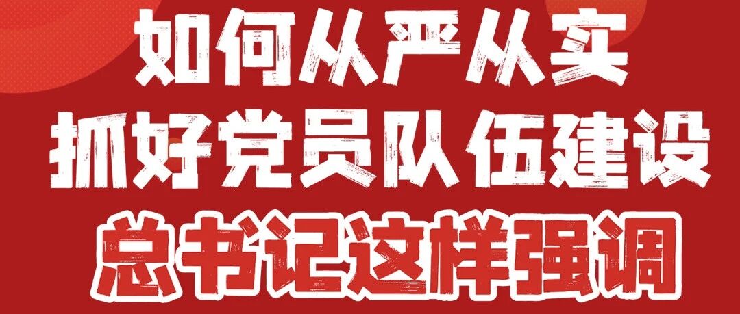 如何从严从实抓好党员队伍建设,总书记这样强调