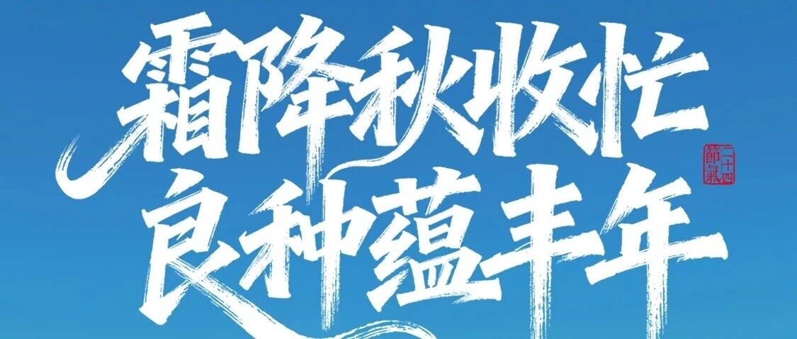 霜降|霜降秋收忙,良种蕴丰年