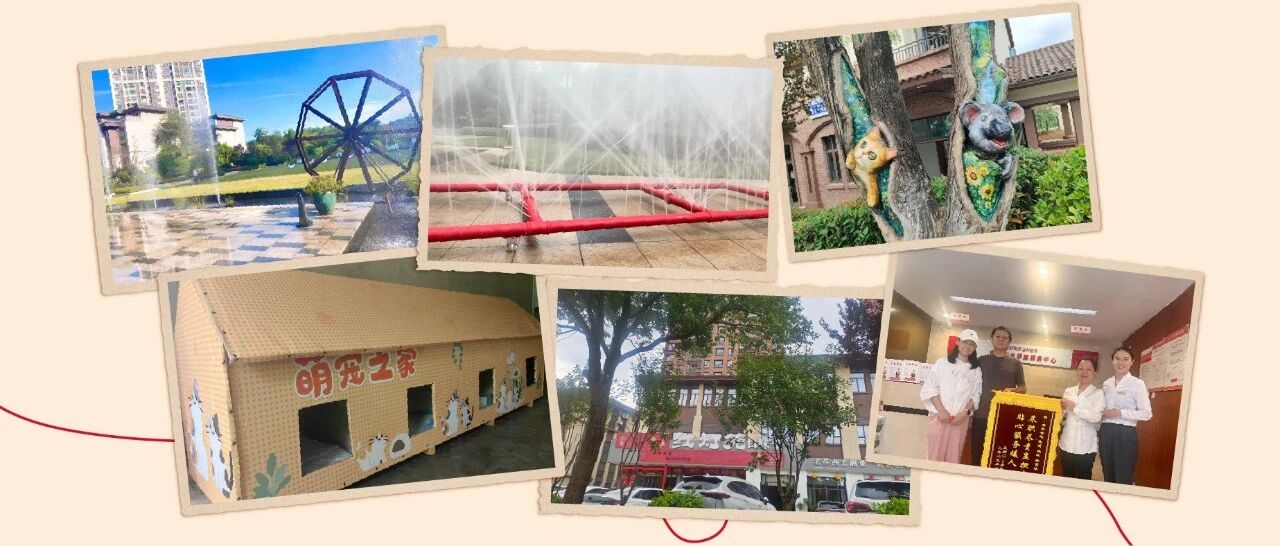 “奇奇怪怪”的服务又增加了......