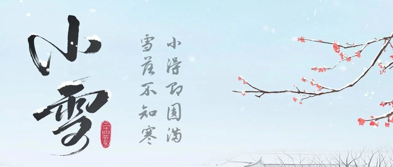 今日小雪 | 小得即圆满,雪落不知寒