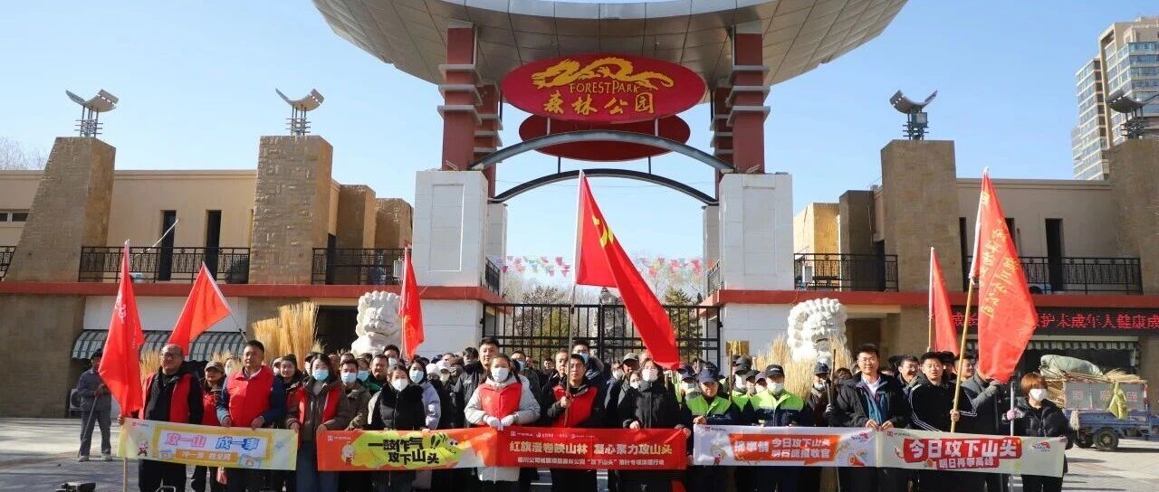 红旗漫卷映山林 凝心聚力攻山头——银川森林公园“攻下山头”落叶专项清理行动
