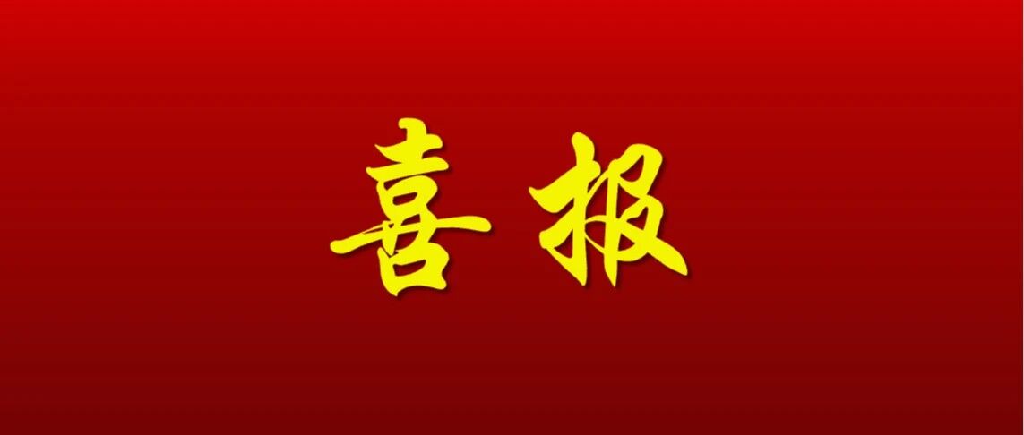 喜报三连,硕果盈枝!国润医疗以数智创新引领医疗供应链