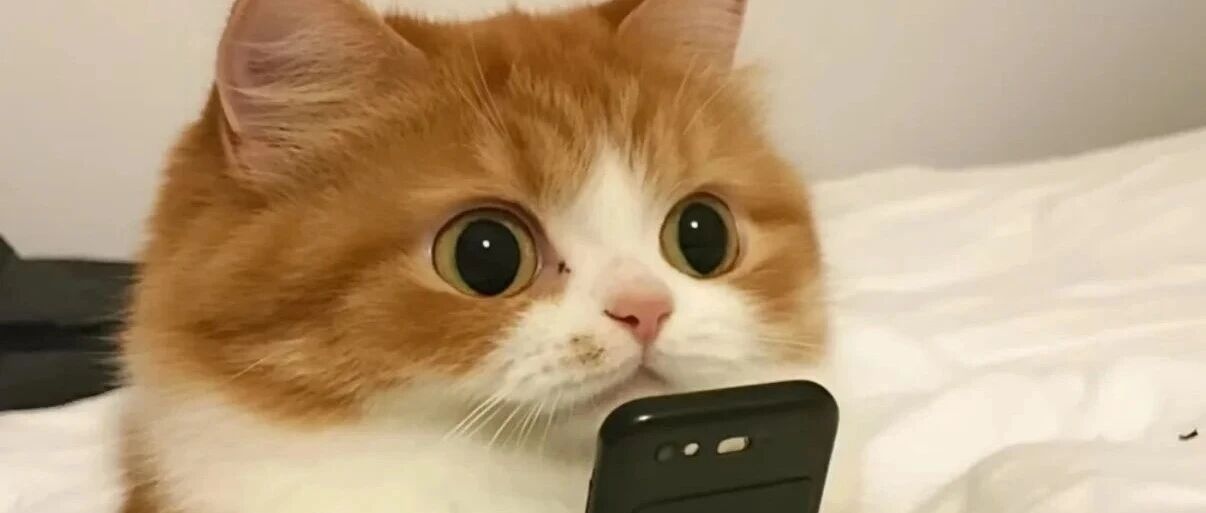 考研 | 学霸们如何备考