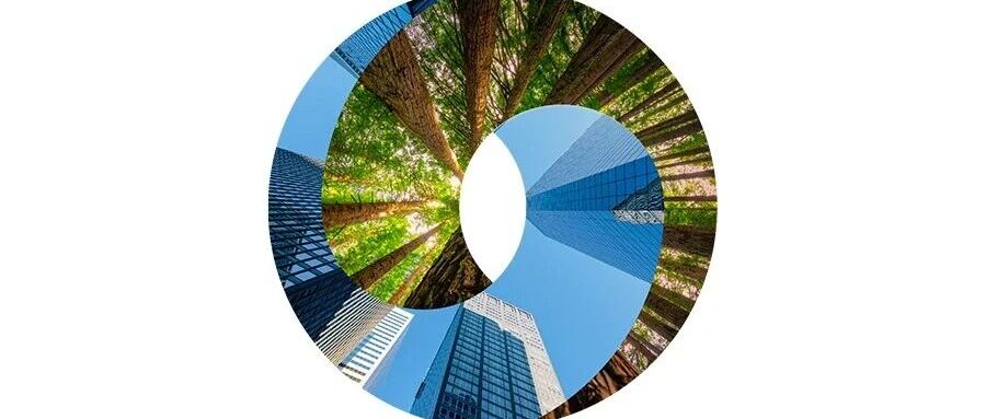 绿色发展|如何做好可持续供应链的顶层设计与落地实践