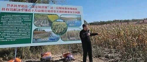 【农牧动态】节水抗旱稻“北上”记