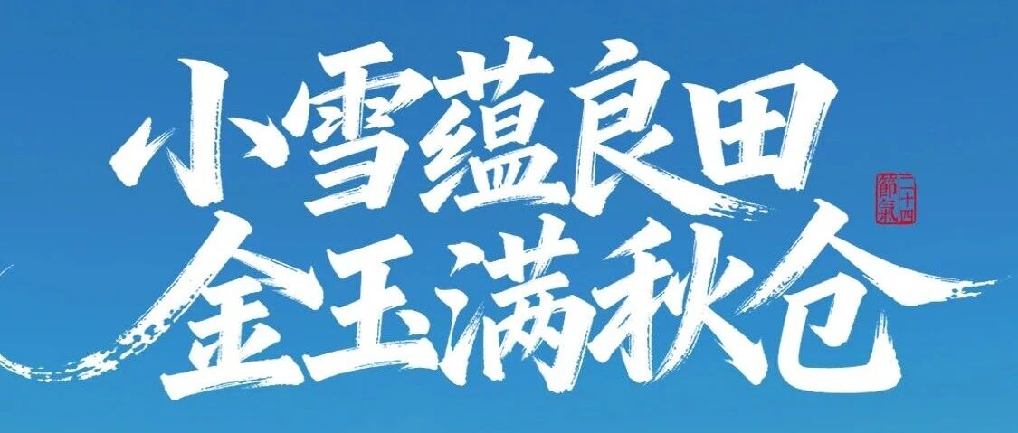 小雪|小雪蕴良田,金玉满秋仓