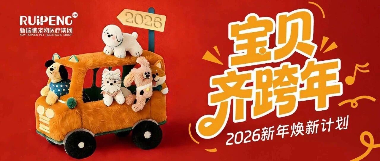 宝贝齐跨年！与毛孩子奔赴从从容容的2026！