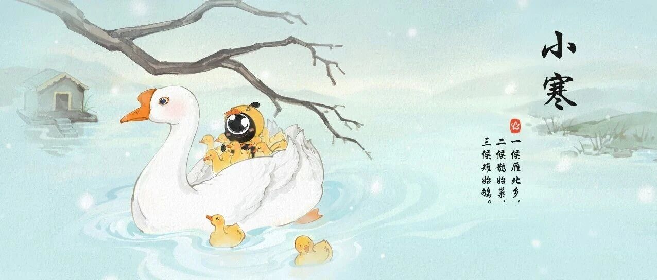 今日小寒丨天渐寒,心愈暖
